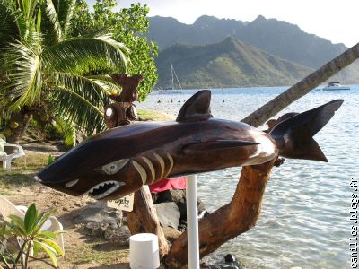un requin sculpté dans le bois itué baie d'opunohu moorea